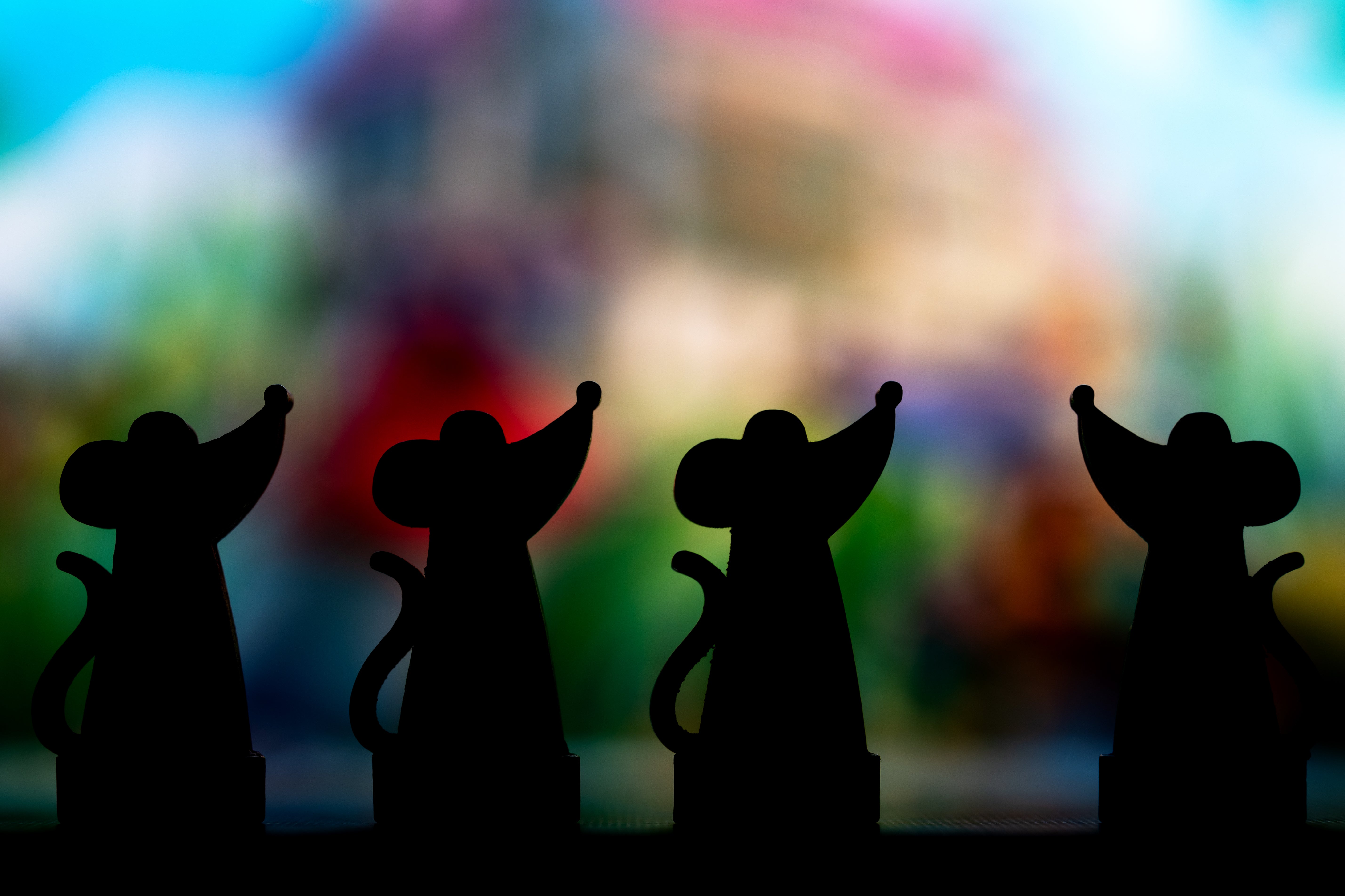 Rats of Wistar