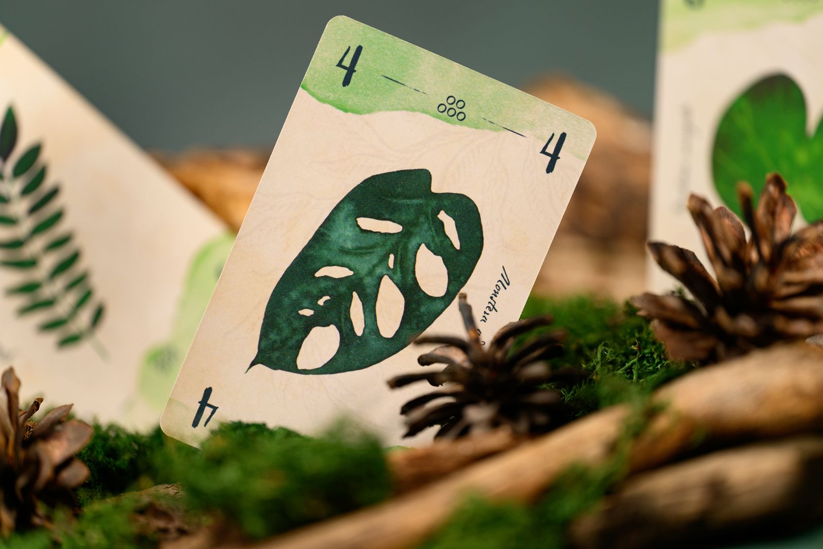 13 Leaves