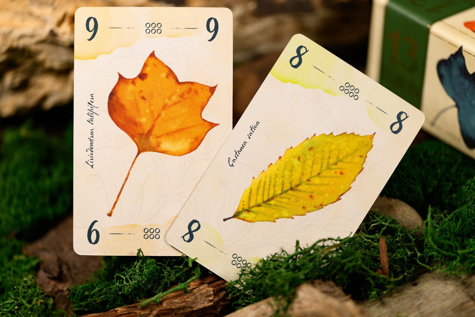 13 Leaves
