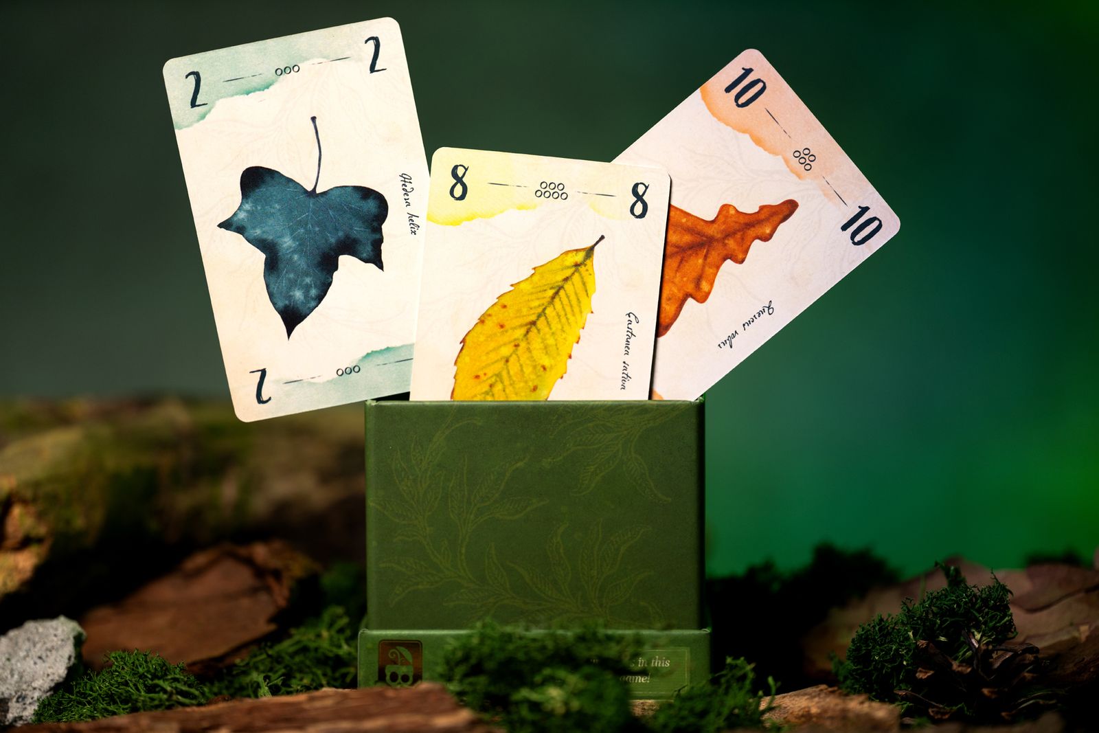 13 Leaves