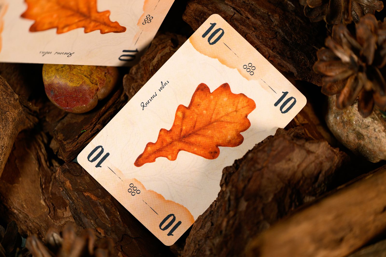 13 Leaves