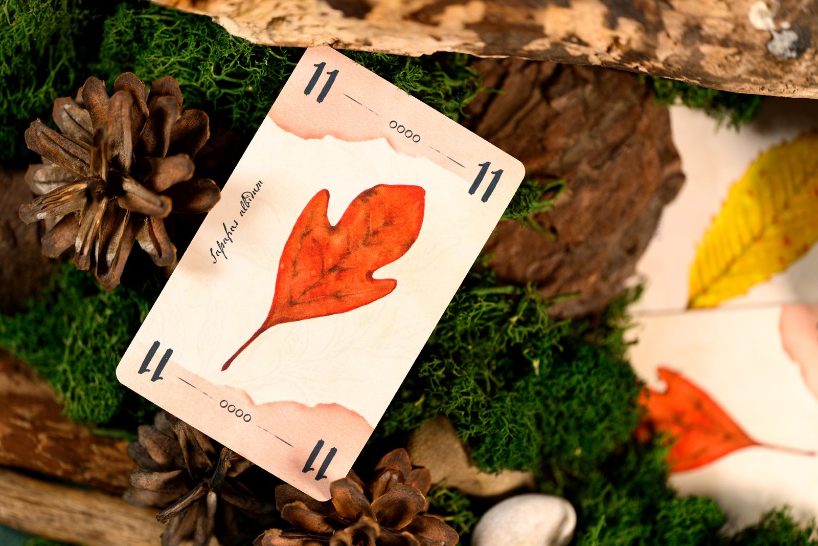 13 Leaves